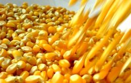 The duty on Mercosur corn imports is 8% whereas the duty US corn is 15%. 