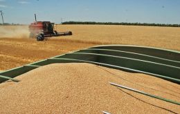 The crop reached 2.764.000 tons with an average yield of 2.634 kilos per hectare 