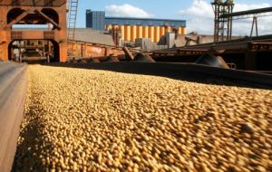 If forecasts prove right, soybean production would increase 10.5% over 2012/13