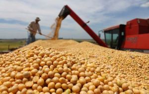 Soybeans has become the main export item and China the leading trade partner 