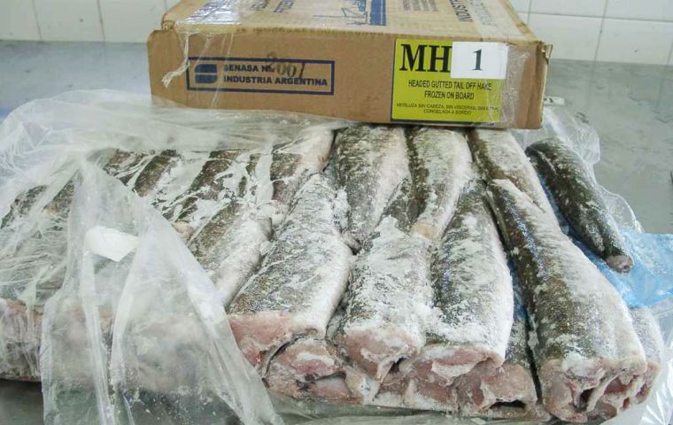 Argentine Squid Exports Increased 84% Last Year Compared To 2012 ...