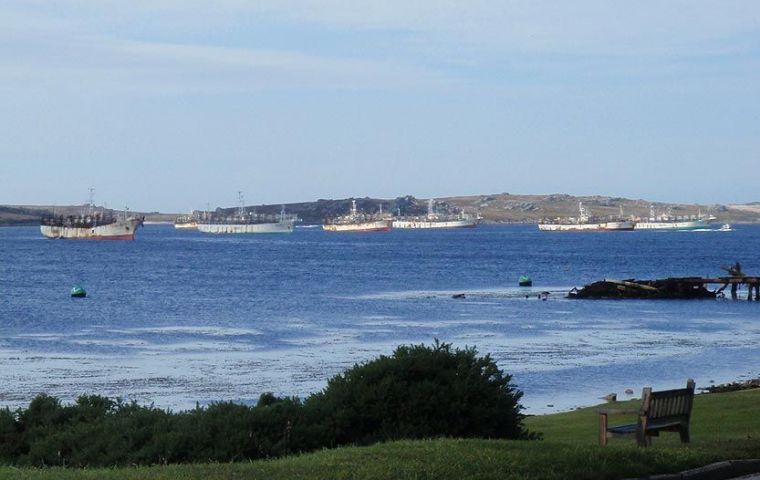 Jiggers in Stanley, a common sight at the beginning of the squid season 