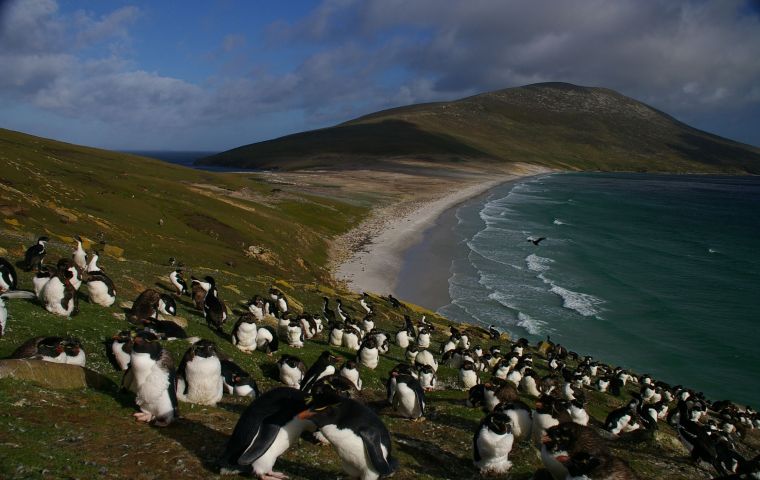 Falklands' pristine landscape 