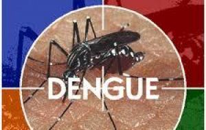 Last year Brazil reported 1.4 million cases of dengue 