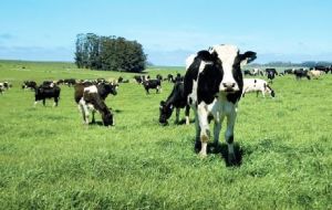 Singapore Olam took control of the 49 dairy farms NZ farming company had in Uruguay