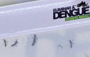 The warning system specifically predicts the risk of dengue infections in 553 micro-regions of Brazil