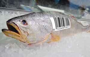 Food chain traceability is increasingly a requirement in major fish markets