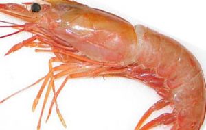 Shrimp sales with 20,482 tons, were up 88.3% over a year ago, 10,877 tons.