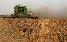 Soybean, corn and rice are the main items making up 91% of the entire harvest 