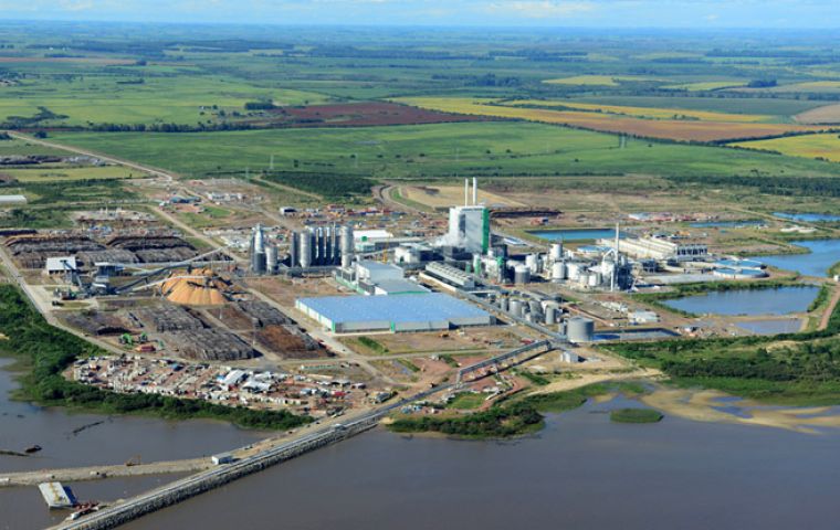 The complex includes the pulp mill, a harbor and a biomass power plant 