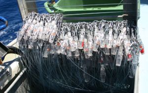 Hookpods in racks on board a longlining vessel