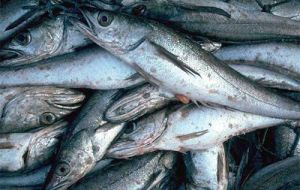Hake and croaker were the main export items 