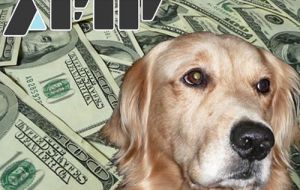 AFIP has more than 300 dogs trained to detect money on the borders
