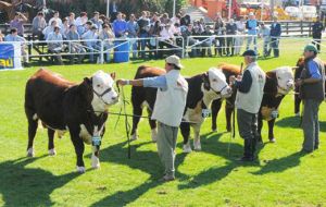 During ten days a major display of the best of Uruguay's livestock and agriculture supplies  
