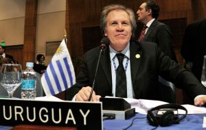 Uruguay's Foreign minister Luis Almagro is a strong candidate to succeed Jose Miguel Insulza at the OAS helm 