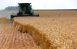 Wheat on pace for a record worldwide crop as yields out of Europe, China and the Commonwealth of Independent States