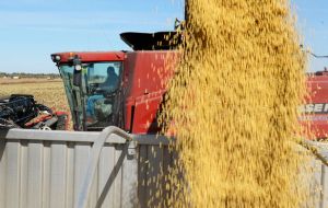 The US Department of Agriculture bureau in Brasilia pegged the Brazilian soybean crop, the world's second biggest after that of the US, at 92.0m tons.