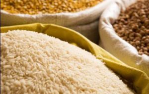 Cereal prices rose significantly for the first time since March as growing conditions for the wheat crop in the Northern hemisphere appear less than ideal.