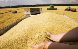 Cereals prices during 2014 dropped 12.5% from the previous year, buoyed  by forecasts of record production and ample inventories.