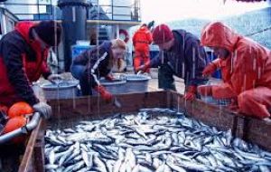 The study examined global fish catch and landed value data to determine how much fish is caught in the high seas and how much is caught in coastal waters