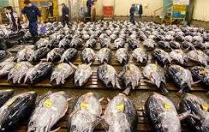 Currently, ten high seas fishing nations capture 71% of the landed value of catches in international waters. (China, Japan, South Korea among others).