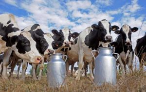 A drought-induced fall in milk output in New Zealand, combined with limited export supplies in Australia, is the main cause for the sudden rise in dairy prices