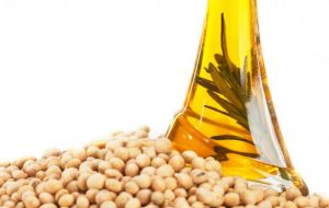 A continued decline in soy oil prices is based on larger than anticipated export availabilities and prospects of bumper soybean harvests in South America.