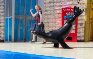 SeaWorld shut down its sea lion shows so that the San Diego-based company could use the staff and facilities, including building two temporary pools for the pups.