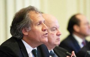 “I do not want to be the administrator of the crisis of the OAS, but the facilitator of its renewal” underlined Almagro