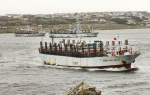 Fish is the main export and the value of catches in the Falkland Islands in 2012 was £184.5 million, of which almost all was exported. (Pic N. Bonner)