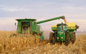 Conab raised the corn harvest estimate by 780,000 tons to 79.0m tons, boosted by increases both from the main crop, and the (actually larger) second, or safrinha