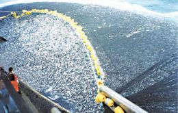 The US tuna fleet must keep to the same standards as in US waters. Tuna fisheries kill millions of sharks annually as bycatch, and some tuna populations remain in dire shape.