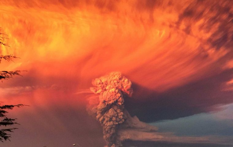Airlines cancelled flights as a towering, mushroom-shaped ash cloud rose from Calbuco's snowy peak. Schools also suspended classes for the region.