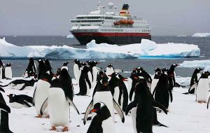 The total number of visitors traveling to Antarctica with IAATO members was 36,702, a decrease of 2 percent compared to the previous season.