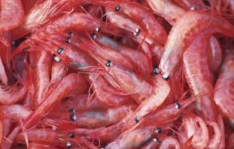 “We will increase our investment in the Antarctic area in terms of krill fishing,” said Liu Shenli, from China National Agricultural Development Group