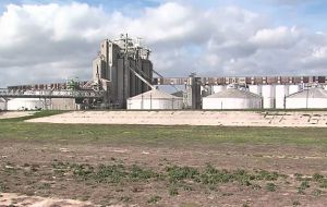 Grain companies whose milling plants and terminals are directly affected by the strike include Cargill and Louis Dreyfus