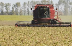  “So far the average yield stands at 3.300 kilos per hectare, we can thus estimate the current total harvest at 57.4 million tons”, said the Cereals chamber.
