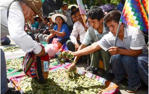 Coca leaves are part of Bolivia's indigenous population culture and medicine, and as such are recognized by the country's constitution