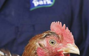 Moy Park, the largest producer of poultry in the UK, will give JBS access to affluent markets in Britain, Scandinavia and other European countries 