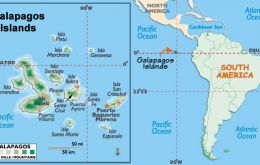 The Galapagos Islands, a chain of islands 1,000 kilometers west of mainland Ecuador, are home to the only penguins in the Northern Hemisphere. 