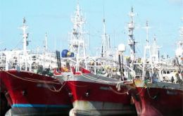The jigger fleet of 65 vessels landed 117,038 tons of squid, 93.7% of the total. Most catches (98,048.7 tons) came from the area located south of latitude 44°.