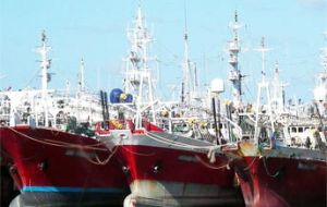 The jigger fleet of 65 vessels landed 117,038 tons of squid, 93.7% of the total. Most catches (98,048.7 tons) came from the area located south of latitude 44°.