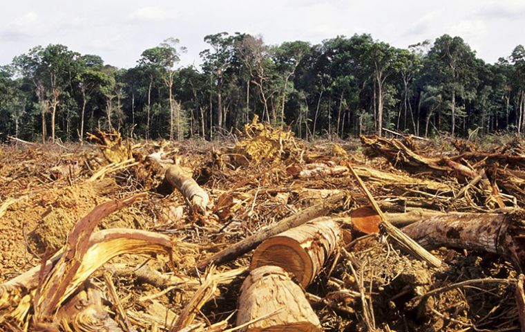  The study by IBGE, says the destruction of Amazon jungles and the savannahs of central Brazil went faster between 2010/12 that in the previous 10 years.