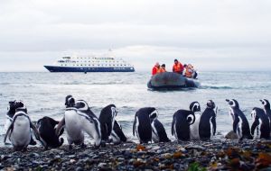 The number of passengers travelling to Antarctica last season totaled 35.509, which is 4% less than the 37.035 of the previous 2013/14 season. 