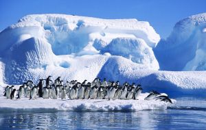 Southern Ocean is home to over 10,000 unique species, including penguins, whales, seabirds, squid, as well as the commercially targeted Antarctic toothfish