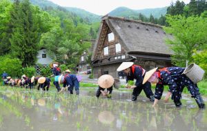 Japan spends 59 times as much supporting its own farmers than on food aid and nutrition support, while EU countries spend 42 times as much