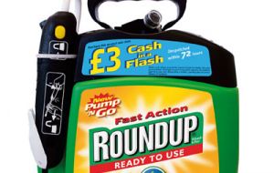 The lawsuit in several US states accuses Monsanto of long knowing that the main ingredient in Roundup, glyphosate, was hazardous to human health.