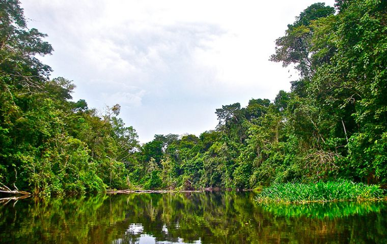 Remarkably Brazil has reduced over 85% of its forestry emissions over the last decade - and cut Amazon deforestation rates by 82% over the same period.