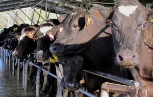 New Zealand is the world's largest dairy producer, exporting 95% of its production, and China the largest foreign investor in the country's dairy sector