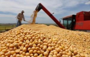 Macri was also the first candidate to promise a reduction of five percentage points per year in export duties on soybean. 